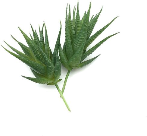EBUYOM 2 جهاز كمبيوتر شخصى النباتات العصارية الاصطناعية غير بوعاء وهمية يتدفقون Tillandsia نباتات الهواء النضرة Bromeliads باقة ترتيبات النباتات الصناعية DIY لحديقة Terrarium ديكور المنزل الديكور الأخضر in Kuwait