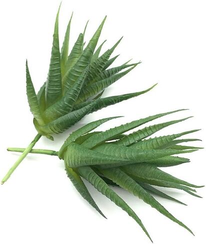 EBUYOM 2 جهاز كمبيوتر شخصى النباتات العصارية الاصطناعية غير بوعاء وهمية يتدفقون Tillandsia نباتات الهواء النضرة Bromeliads باقة ترتيبات النباتات الصناعية DIY لحديقة Terrarium ديكور المنزل الديكور الأخضر in Kuwait