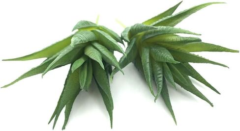 EBUYOM 2 جهاز كمبيوتر شخصى النباتات العصارية الاصطناعية غير بوعاء وهمية يتدفقون Tillandsia نباتات الهواء النضرة Bromeliads باقة ترتيبات النباتات الصناعية DIY لحديقة Terrarium ديكور المنزل الديكور الأخضر in Kuwait