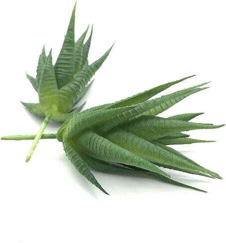 EBUYOM 2 جهاز كمبيوتر شخصى النباتات العصارية الاصطناعية غير بوعاء وهمية يتدفقون Tillandsia نباتات الهواء النضرة Bromeliads باقة ترتيبات النباتات الصناعية DIY لحديقة Terrarium ديكور المنزل الديكور الأخضر in Kuwait