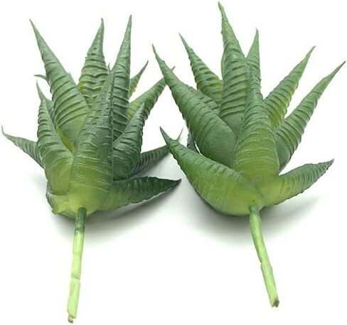 EBUYOM 2 جهاز كمبيوتر شخصى النباتات العصارية الاصطناعية غير بوعاء وهمية يتدفقون Tillandsia نباتات الهواء النضرة Bromeliads باقة ترتيبات النباتات الصناعية DIY لحديقة Terrarium ديكور المنزل الديكور الأخضر in Kuwait