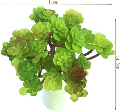 EBUYOM 2 جهاز كمبيوتر شخصى النباتات العصارية الاصطناعية غير بوعاء وهمية يتدفقون Tillandsia نباتات الهواء النضرة Bromeliads باقة ترتيبات النباتات الصناعية DIY لحديقة Terrarium ديكور المنزل الديكور الأخضر in Kuwait