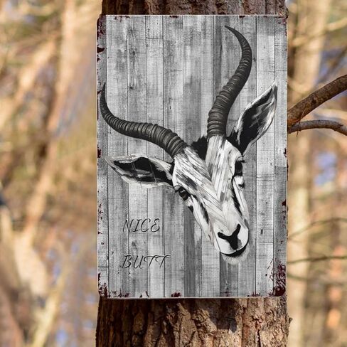 Phonily Funny Donkey Metal Tin Sign Donkey Nice Butt Wall Art Retro Donkey Wall Decoration for Bedroom Living Room Cafe Kitchen Bathroom 8Wx12L Inches in Kuwait