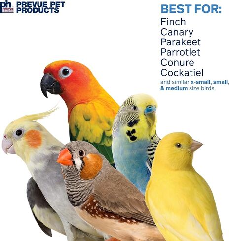 Prevue Pet Products لعبة شد الحبل الفيزيائية والعقلية للطيور 62615 in Saudi Arabia