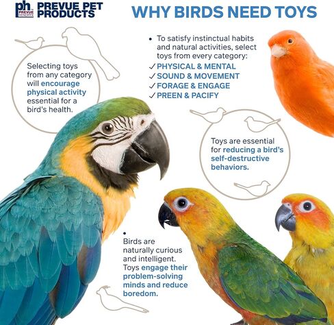 Prevue Pet Products لعبة شد الحبل الفيزيائية والعقلية للطيور 62615 in Saudi Arabia