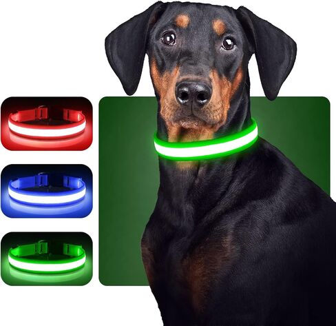 BiPawTi تضيء أطواق الكلاب - طوق كلب LED قابل لإعادة الشحن يتوهج في الظلام أطواق كلب - طوق كلب مضاء آمن لمشي الكلاب، والتخييم، والمشي لمسافات طويلة in Kuwait