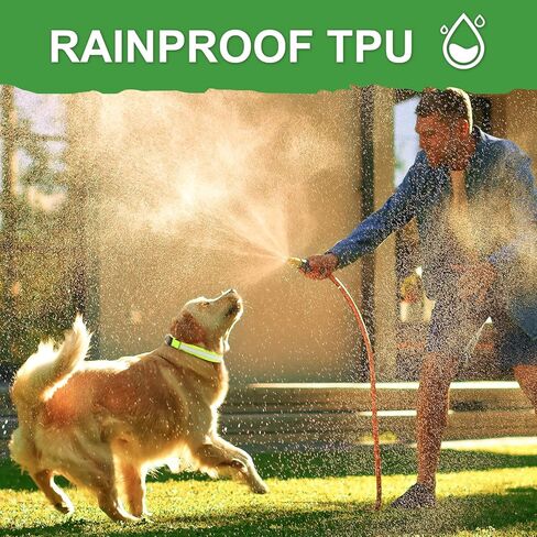 BiPawTi تضيء أطواق الكلاب - طوق كلب LED قابل لإعادة الشحن يتوهج في الظلام أطواق كلب - طوق كلب مضاء آمن لمشي الكلاب، والتخييم، والمشي لمسافات طويلة in Kuwait