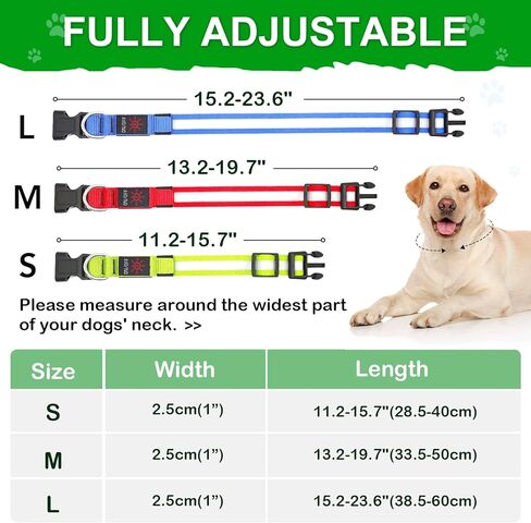 BiPawTi تضيء أطواق الكلاب - طوق كلب LED قابل لإعادة الشحن يتوهج في الظلام أطواق كلب - طوق كلب مضاء آمن لمشي الكلاب، والتخييم، والمشي لمسافات طويلة in Kuwait