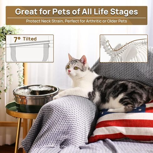 نسخة مطورة من نافورة المياه من الفولاذ المقاوم للصدأ من iPettie Trumpet Pet، سعة 100 أونصة/3 لتر، رائعة لجميع مراحل الحياة، تصميم مائل 7 درجات، ترشيح صحي على 4 مراحل، آمن للاستخدام في غسالة الأطباق فائق الهدوء، مع 3 مرشحات in Kuwait