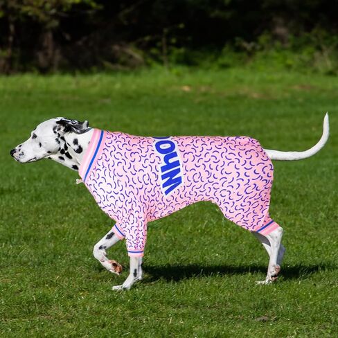 LovinPet Pets Pajamas, UV Protection, Post Operative Protection Dog Apparel, Comfy 4 Legged Coverage Dog Jumpsuit, Stretchable V Neck Letter Purple Flower Prints Jumpsuit for Large Dogs in Saudi Arabia