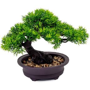 Artificial Plants Bonsai Pine Tree (BB005a) in Kuwait