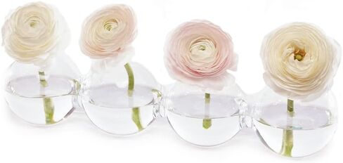 CHIVE ‘Caterpillar’ Bubble Bud Vase for Centerpieces — 4 Hole Multi Chamber Clear Glass Flower Vase for Short Flowers — Large, 13" Long in Saudi Arabia