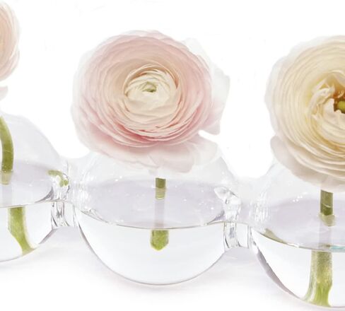 CHIVE ‘Caterpillar’ Bubble Bud Vase for Centerpieces — 4 Hole Multi Chamber Clear Glass Flower Vase for Short Flowers — Large, 13" Long in Saudi Arabia