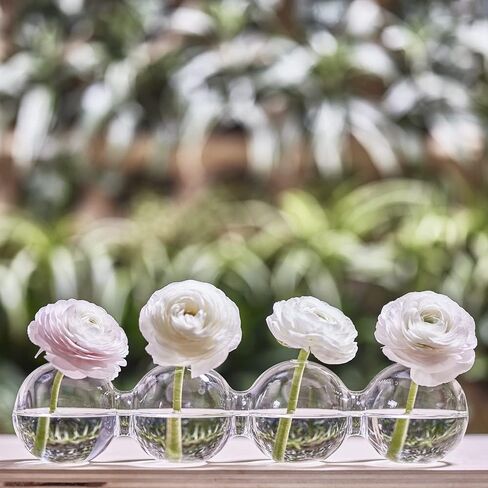 CHIVE ‘Caterpillar’ Bubble Bud Vase for Centerpieces — 4 Hole Multi Chamber Clear Glass Flower Vase for Short Flowers — Large, 13" Long in Saudi Arabia