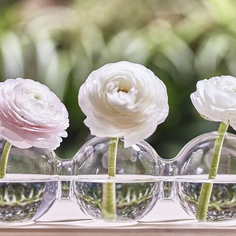 CHIVE ‘Caterpillar’ Bubble Bud Vase for Centerpieces — 4 Hole Multi Chamber Clear Glass Flower Vase for Short Flowers — Large, 13" Long in Saudi Arabia
