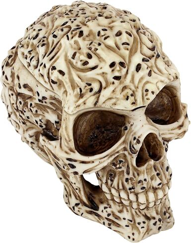 تمثال صندوق مخبأ على شكل سفينة قوطية من Design Toscano CL6067 Steampunk Skull Containment Vessel، نحاس عتيق in Saudi Arabia