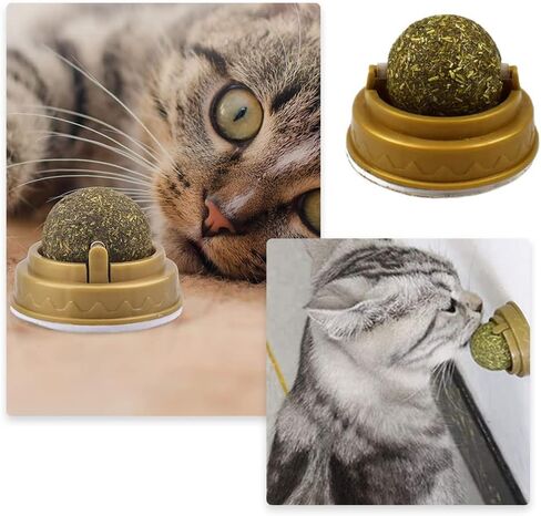 HOTTuoHong 2 حزمة النعناع البري اللعب كرات الصالحة للأكل النعناع البري اللعب الطبيعية لعق يعامل القط جدار يعامل لتخفيف القط القلق لعبة القط in Kuwait