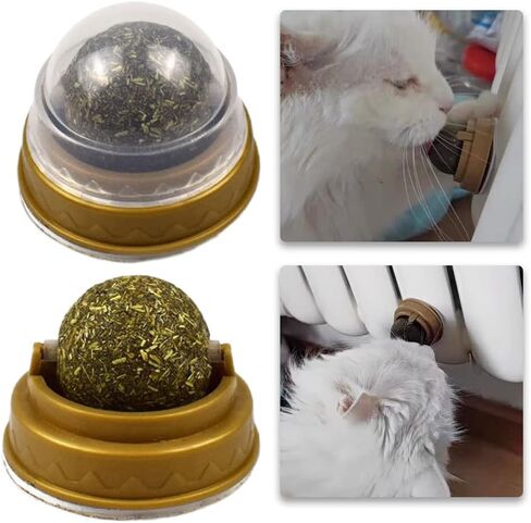 HOTTuoHong 2 حزمة النعناع البري اللعب كرات الصالحة للأكل النعناع البري اللعب الطبيعية لعق يعامل القط جدار يعامل لتخفيف القط القلق لعبة القط in Kuwait