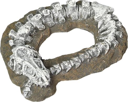 Blue Ribbon Pet Products Exotic Environments T-Rex Aquarium Ornament in Saudi Arabia