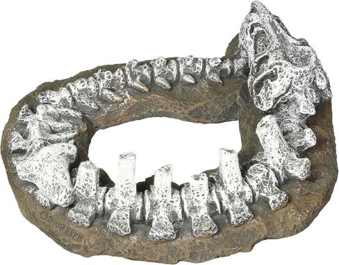 Blue Ribbon Pet Products Exotic Environments T-Rex Aquarium Ornament in Saudi Arabia