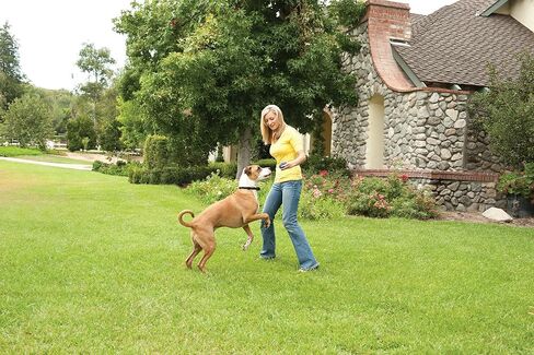 PetSafe Wireless Pet Containment System + 2 Replacement Batteries - Original Wireless Electric Fence for Dogs - From the Parent Company of Invisible Fence Brand - Covers Up to 1/2 Acre - For Pets 8lb+ in Saudi Arabia