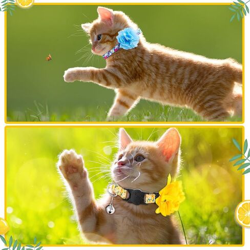 Weewooday 4 Pcs Spring Cat Collar for Cats Cat Collars Flower with Bell and Removable Floral Flower Patterns Adjustable Collar for Pets Holiday Party and Daily Decoration(Small) in Saudi Arabia