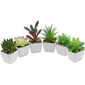 Nubry Mini Fake Plants in Terrine Pots Artificial Small Succulents Potted Faux Assorted Lifelike Plants for Home Office Desk Decor, Set of 6 (Orange Terracotta Pots)