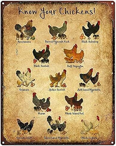 Metal Tin Sign Vintage Electrician Knowledge Aluminum Sign Wall Decor Shed Garage Man Cave Kitchen 12 X 8 Inch in Saudi Arabia