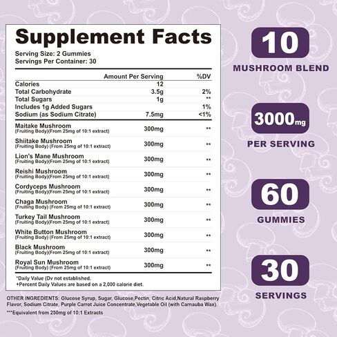 OALSE Mushroom Gummies Lions Mane Supplement - 3000mg Mushroom Extracts of Lions Mane, Reishi, Cordyceps, Shiitake & More - Promotes Focus, Memory, Mood and Energy 120Count（Pack of 2） in Saudi Arabia