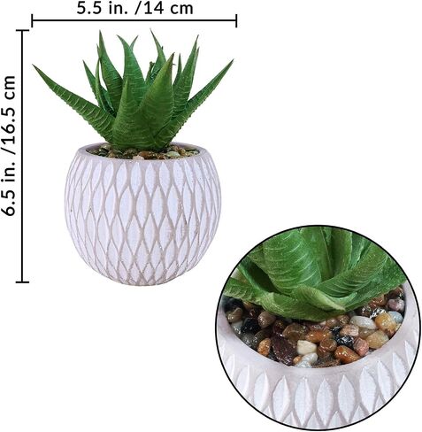 Winlyn 3 Pcs Small Faux Potted Plants Artificial Aloe Hops String of Pearls Succulents Plants in Gray Geometric Concrete Pots for Indoor Outdoor Greenery Shelf Home Bathroom Office Desk Tabletop Décor in Saudi Arabia