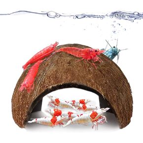 جور كهف جمبري كوكو لديكور حوض السمك مثالي للسباحة داخل وخارج المنزل، يشجع على التساقط ومأوى مريح ومنطقة تكاثر للقشريات، قطعتان في كل عبوة in Kuwait