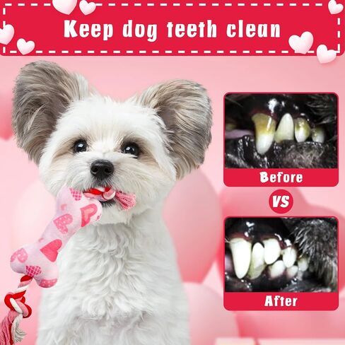 Valentine's Day Dog Toys for Small and Medium Dogs, 2 Pack Soft Squeaky Dog Toys with Cotton Rope, Perfect Valentine's Day Dog Gifts in Saudi Arabia