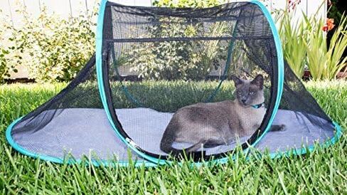 Nala and Company - The Cat House Outdoor Pet Enclosure for Indoor Cats - 43" x 23" x 18" - Portable, View, Pop Up Lounger Tent for Deck, Patio, Porch, Yard, Balcony & RV Travel - with Storage Pouch in Saudi Arabia