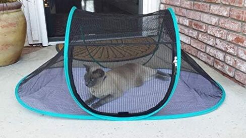 Nala and Company - The Cat House Outdoor Pet Enclosure for Indoor Cats - 43" x 23" x 18" - Portable, View, Pop Up Lounger Tent for Deck, Patio, Porch, Yard, Balcony & RV Travel - with Storage Pouch in Saudi Arabia