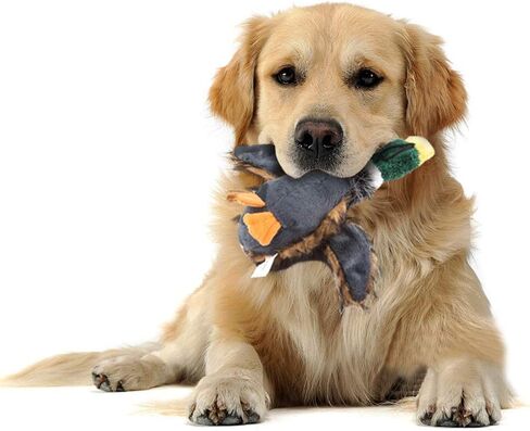AOTOHOOPE Dog Toys for Aggressive Chewers, Pet Mallard Duck Dog Toy, Squeaky Plush Puppy Dog Toy for Small Dogs - 2 Pieces in Saudi Arabia