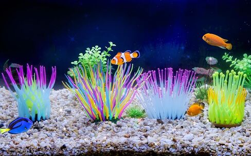 نباتات حوض السمك إيموشنلايت، ديكورات راتنج خزان الأسماك الاصطناعية ديكور قنافذ البحر الفلورسنت الملونة، عبوة واحدة in Kuwait