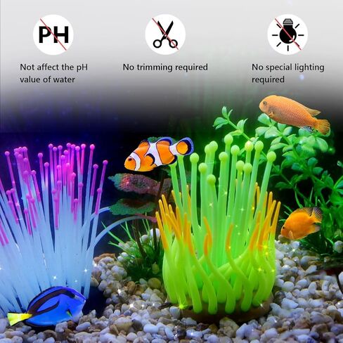نباتات حوض السمك إيموشنلايت، ديكورات راتنج خزان الأسماك الاصطناعية ديكور قنافذ البحر الفلورسنت الملونة، عبوة واحدة in Kuwait