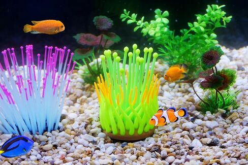 نباتات حوض السمك إيموشنلايت، ديكورات راتنج خزان الأسماك الاصطناعية ديكور قنافذ البحر الفلورسنت الملونة، عبوة واحدة in Kuwait