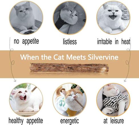 20 قطعة من أعواد مضغ القطط من روزيكلو، عضوية للعناية بالأسنان، أعواد النعناع البري الطبيعية، ألعاب المولي للأسنان للقطط كيتي in Kuwait