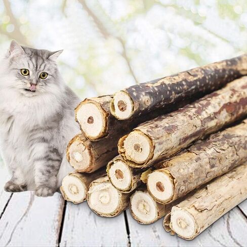 20 قطعة من أعواد مضغ القطط من روزيكلو، عضوية للعناية بالأسنان، أعواد النعناع البري الطبيعية، ألعاب المولي للأسنان للقطط كيتي in Kuwait