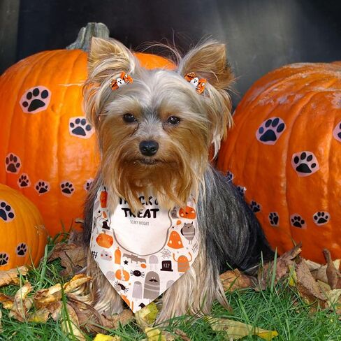 Frienda 20 Pieces Dog Bandana Point Adjustable and Washable Triangle Scarf Kerchiefs Dog Bib Accessories for Small to Medium Puppy Cat(Romantic Patterns) in Kuwait