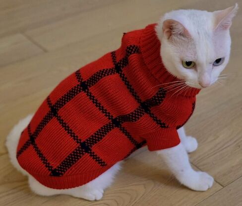 Turtleneck Dog Argyle Sweater for Small Dogs Cat in Kuwait