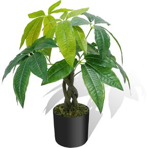 هواسين نباتات صناعية داخلية 17.7 انش، شجرة نقود صناعية توضع على الطاولة في وعاء بلاستيكي، شجرة نقود مزيفة نباتات حريرية لتزيين طاولة المنزل وغرفة النوم in Kuwait