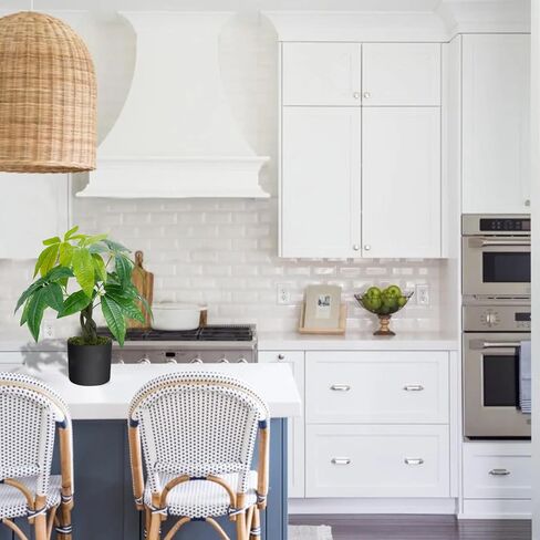 هواسين نباتات صناعية داخلية 17.7 انش، شجرة نقود صناعية توضع على الطاولة في وعاء بلاستيكي، شجرة نقود مزيفة نباتات حريرية لتزيين طاولة المنزل وغرفة النوم in Kuwait