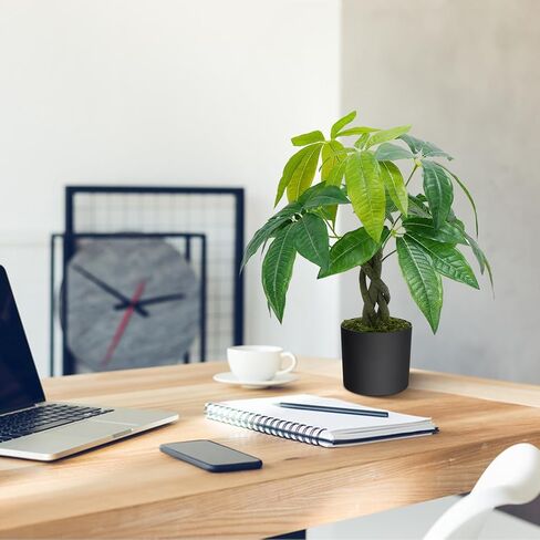 هواسين نباتات صناعية داخلية 17.7 انش، شجرة نقود صناعية توضع على الطاولة في وعاء بلاستيكي، شجرة نقود مزيفة نباتات حريرية لتزيين طاولة المنزل وغرفة النوم in Kuwait