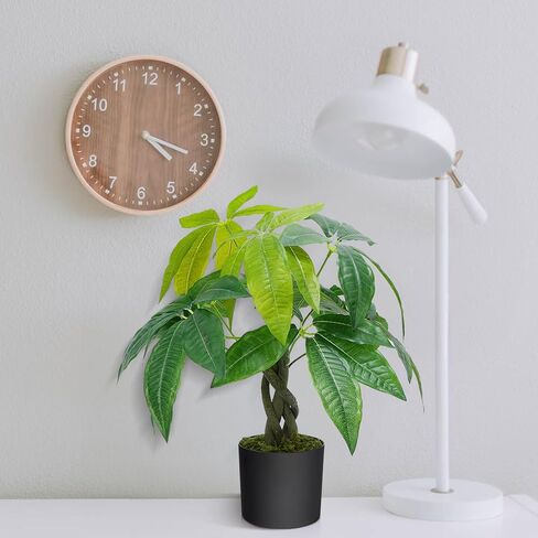 هواسين نباتات صناعية داخلية 17.7 انش، شجرة نقود صناعية توضع على الطاولة في وعاء بلاستيكي، شجرة نقود مزيفة نباتات حريرية لتزيين طاولة المنزل وغرفة النوم in Kuwait