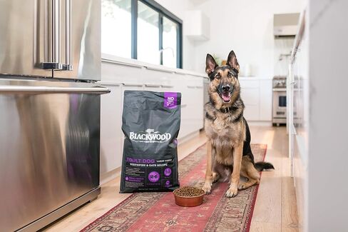 بلاكوود أغذية الحيوانات الأليفة 22403 كلب بالغ، سلالة كبيرة، وجبة السمك الأبيض ووصفة الشوفان، 30 رطل. in Kuwait