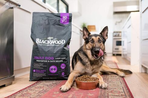 بلاكوود أغذية الحيوانات الأليفة 22403 كلب بالغ، سلالة كبيرة، وجبة السمك الأبيض ووصفة الشوفان، 30 رطل. in Kuwait