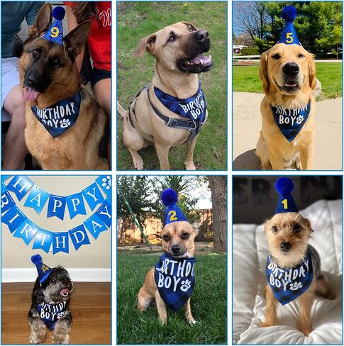 Nepfaivy Dog Birthday Party Decorations - Dog Birthday Outfit Include Reversible Dog Birthday Bandana Boy, Dog Birthday Hat, Happy Birthday Banner and Numbers for Puppy Small Large Dogs Cats in Saudi Arabia