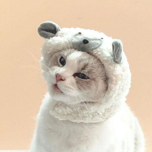 Ipetboom Halloween Cat Cap Cartoon Lamb Shaped Dog Costume Hat Pet Headgear Puppy Cap Sheep Hat Headwear Pet Cosplay Dress up Accessories Halloween Costume for Cat Dog in Saudi Arabia
